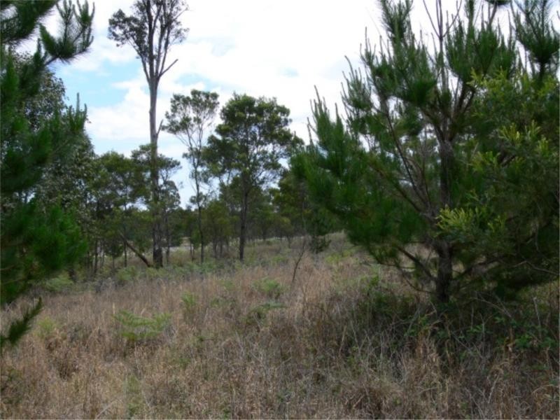 Lot 171 South Drive, Sugarloaf via, Stanthorpe QLD 4380