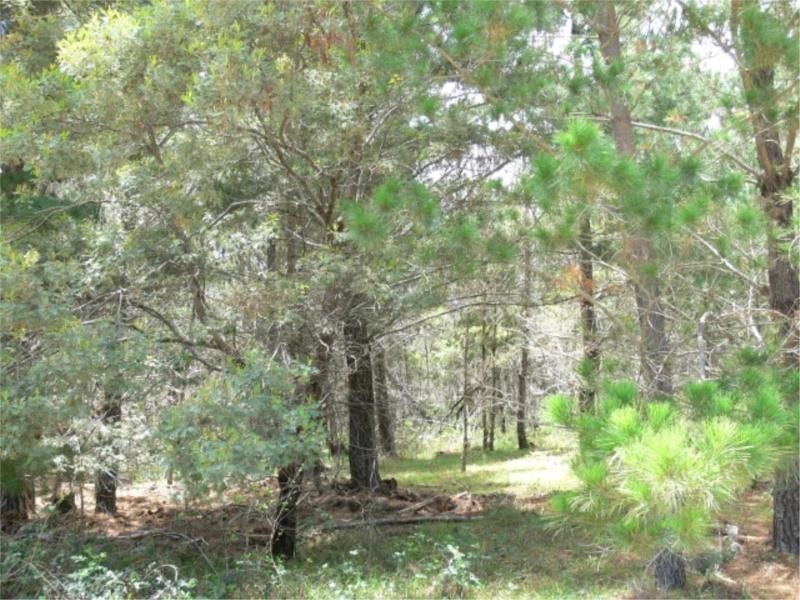 Lot 232 Central Road, Sugarloaf via, Stanthorpe QLD 4380