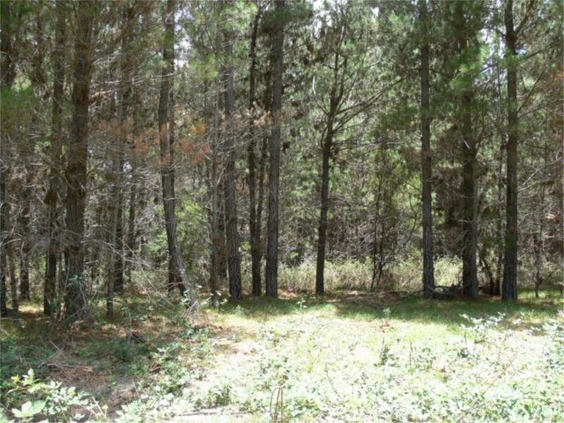 Lot 232 Central Road, Sugarloaf via, Stanthorpe QLD 4380