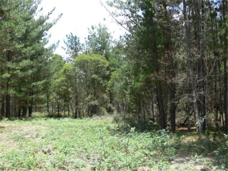 Lot 232 Central Road, Sugarloaf via, Stanthorpe QLD 4380