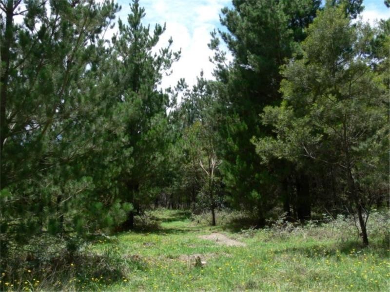 Lot 233 Central Road, Sugarloaf via, Stanthorpe QLD 4380