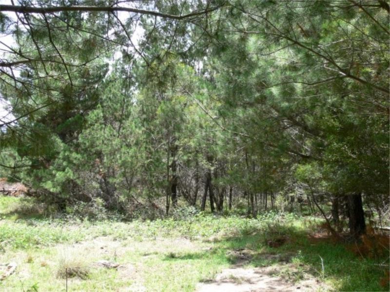 Lot 233 Central Road, Sugarloaf via, Stanthorpe QLD 4380
