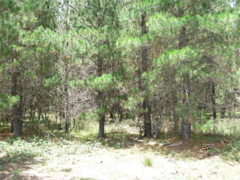 Lot 233 Central Road, Sugarloaf via, Stanthorpe QLD 4380