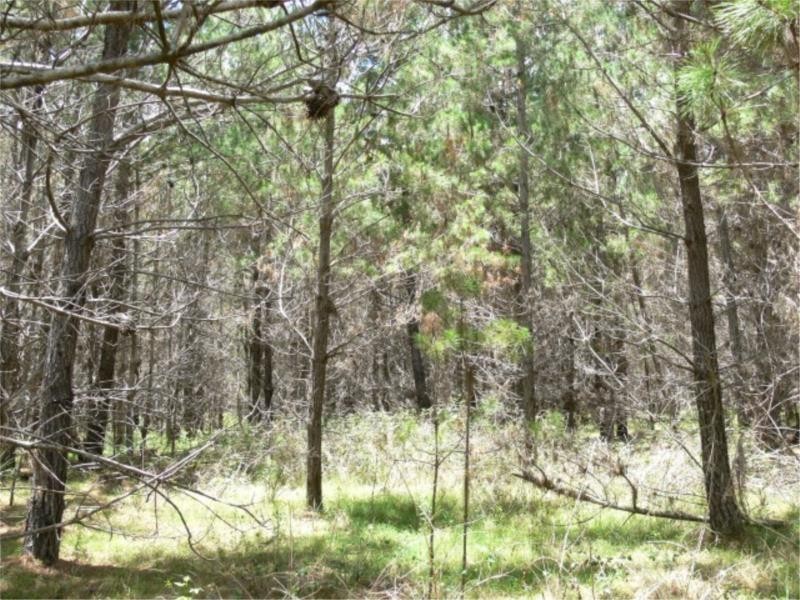 Lot 233 Central Road, Sugarloaf via, Stanthorpe QLD 4380