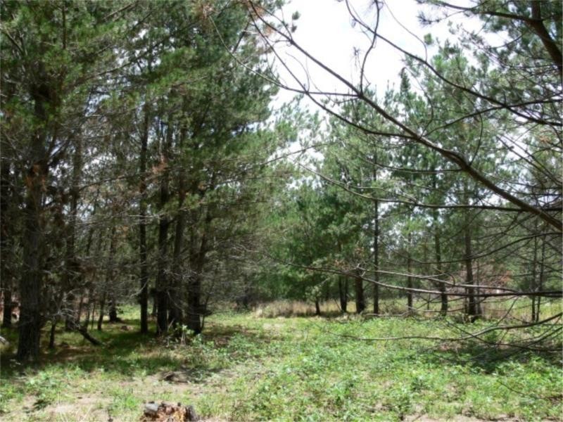 Lot 233 Central Road, Sugarloaf via, Stanthorpe QLD 4380