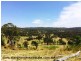Lot 192 Cullendore Creek Road, Cullendore via, Warwick QLD 4370