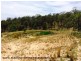 Lot 192 Cullendore Creek Road, Cullendore via, Warwick QLD 4370