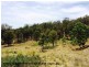 Lot 192 Cullendore Creek Road, Cullendore via, Warwick QLD 4370