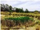 Lot 192 Cullendore Creek Road, Cullendore via, Warwick QLD 4370