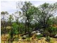Lot 192 Cullendore Creek Road, Cullendore via, Warwick QLD 4370