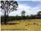Lot 192 Cullendore Creek Road, Cullendore via, Warwick QLD 4370