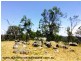 Lot 192 Cullendore Creek Road, Cullendore via, Warwick QLD 4370