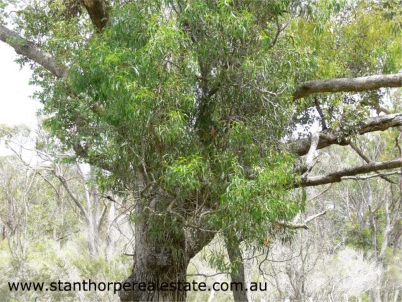 Lot 1 Unold Lane, Dalcouth via, Stanthorpe QLD 4380