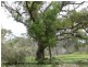Lot 1 Unold Lane, Dalcouth via, Stanthorpe QLD 4380