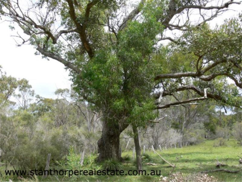 Lot 1 Unold Lane, Dalcouth via, Stanthorpe QLD 4380