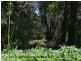 Lot 5 Granite Belt Drive, Dalveen via, Stanthorpe QLD 4380