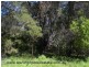 Lot 5 Granite Belt Drive, Dalveen via, Stanthorpe QLD 4380