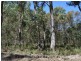 Lot 5 Granite Belt Drive, Dalveen via, Stanthorpe QLD 4380