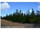 Lot 86 Sunset Crescent, Sugarloaf via, Stanthorpe QLD 4380