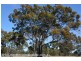 Lot 7 Rabbit Fence Road, Passchendaele via, Stanthorpe QLD 4380