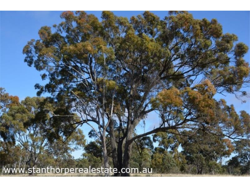 Lot 7 Rabbit Fence Road, Passchendaele via, Stanthorpe QLD 4380