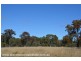 Lot 7 Rabbit Fence Road, Passchendaele via, Stanthorpe QLD 4380