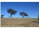 Lot 2 Rabbit Fence Road, Passchendaele via, Stanthorpe QLD 4380