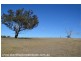 Lot 2 Rabbit Fence Road, Passchendaele via, Stanthorpe QLD 4380