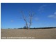 Lot 2 Rabbit Fence Road, Passchendaele via, Stanthorpe QLD 4380