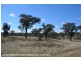 Lots 2 & 4 Pikedale Road, Springdale via, Stanthorpe QLD 4380