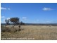 Lots 2 & 4 Pikedale Road, Springdale via, Stanthorpe QLD 4380
