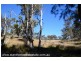 Lots 2 & 4 Pikedale Road, Springdale via, Stanthorpe QLD 4380