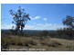 Lots 2 & 4 Pikedale Road, Springdale via, Stanthorpe QLD 4380