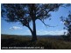 Lots 2 & 4 Pikedale Road, Springdale via, Stanthorpe QLD 4380