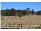 2875 Mt Lindesay Road, Boonoo Boonoo (NSW) via, Stanthorpe QLD 4380