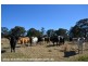 2875 Mt Lindesay Road, Boonoo Boonoo (NSW) via, Stanthorpe QLD 4380