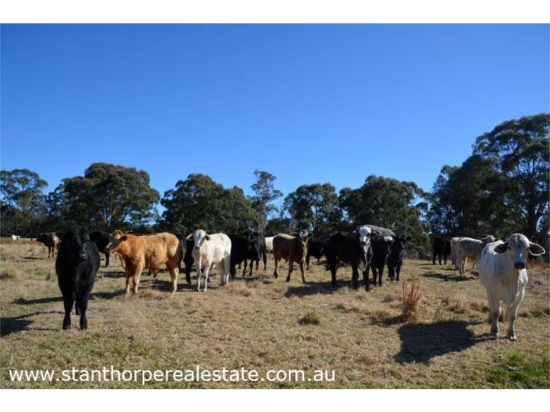 2875 Mt Lindesay Road, Boonoo Boonoo (NSW) via, Stanthorpe QLD 4380