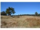 2875 Mt Lindesay Road, Boonoo Boonoo (NSW) via, Stanthorpe QLD 4380