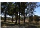 2875 Mt Lindesay Road, Boonoo Boonoo (NSW) via, Stanthorpe QLD 4380
