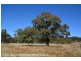 2875 Mt Lindesay Road, Boonoo Boonoo (NSW) via, Stanthorpe QLD 4380
