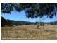 2875 Mt Lindesay Road, Boonoo Boonoo (NSW) via, Stanthorpe QLD 4380