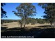 2875 Mt Lindesay Road, Boonoo Boonoo (NSW) via, Stanthorpe QLD 4380