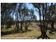2875 Mt Lindesay Road, Boonoo Boonoo (NSW) via, Stanthorpe QLD 4380