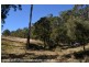 2875 Mt Lindesay Road, Boonoo Boonoo (NSW) via, Stanthorpe QLD 4380