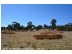 2875 Mt Lindesay Road, Boonoo Boonoo (NSW) via, Stanthorpe QLD 4380