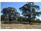 2875 Mt Lindesay Road, Boonoo Boonoo (NSW) via, Stanthorpe QLD 4380