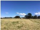 1943 Amiens Road, Bapaume via, Stanthorpe QLD 4380