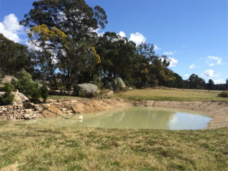 1943 Amiens Road, Bapaume via, Stanthorpe QLD 4380