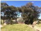 1943 Amiens Road, Bapaume via, Stanthorpe QLD 4380