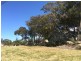 1943 Amiens Road, Bapaume via, Stanthorpe QLD 4380